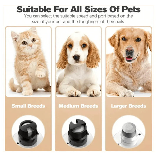 BuddyTail Hub™ Claw Calm -mylly