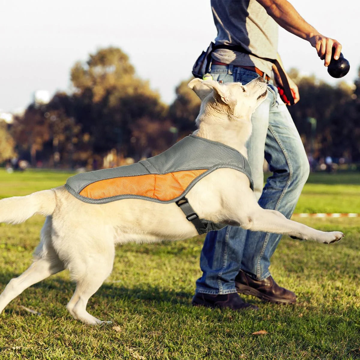 BuddyTail Hub™ Reflective Dog Cooling Vest