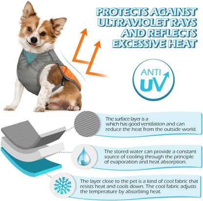 BuddyTail Hub™ Reflective Dog Cooling Vest