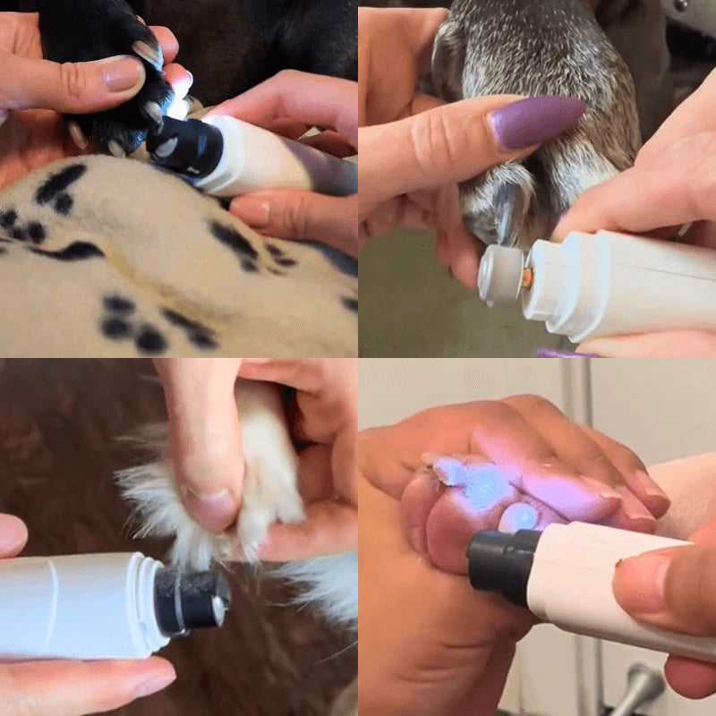 BuddyTail Hub™ Claw Calm Grinder