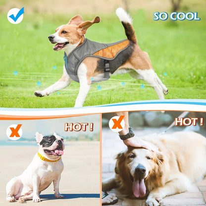 BuddyTail Hub™ Reflective Dog Cooling Vest